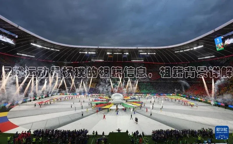 星空体育官网登录彩讯股份足球运动员杨璞的祖籍信息，祖籍背景详解