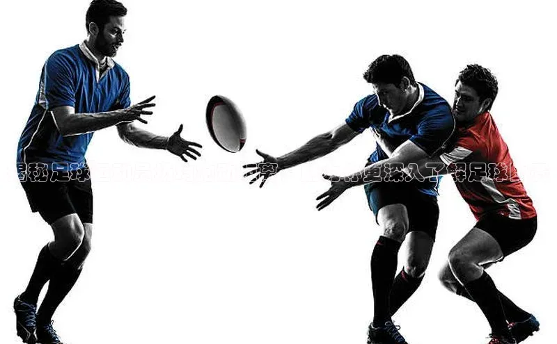 星空·体育综合APP下载官网颐驰 06揭秘足球运动员场均跑动距离，助力你更深入了解足球比赛