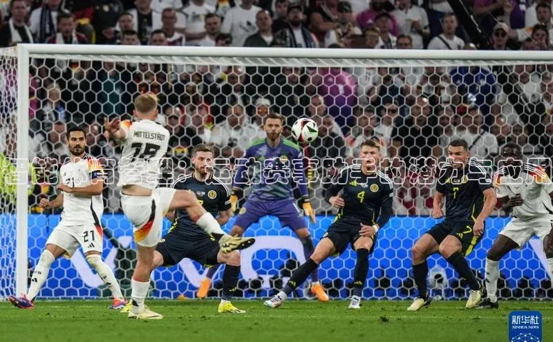 智能体育管理：运动赛事助手的潜力与应用