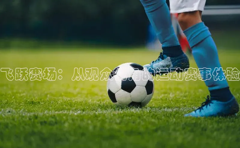 飞跃赛场：从观众视角的运动赛事体验