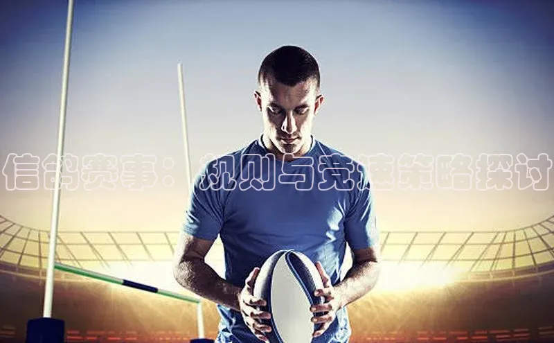 信鸽赛事：规则与竞速策略探讨