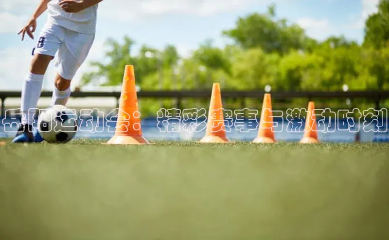 岳阳运动会：精彩赛事与激动时刻