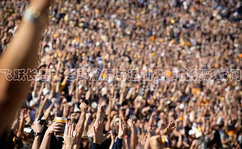 飞跃长春：冬季激情与运动赛事的精彩瞬间