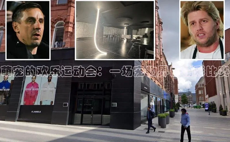 萌宠的欢乐运动会：一场宠物界的精彩比赛