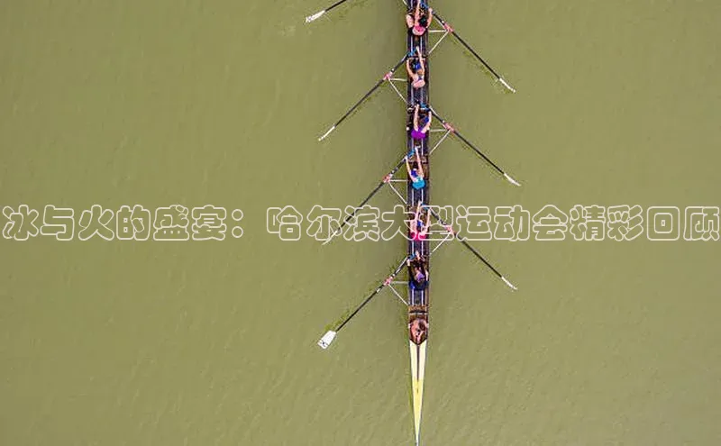 冰与火的盛宴：哈尔滨大型运动会精彩回顾