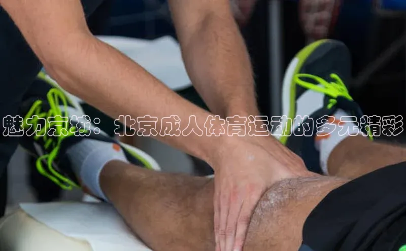 魅力京城：北京成人体育运动的多元精彩