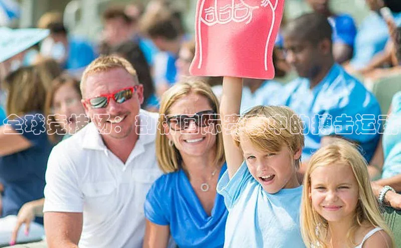 全球竞技场：剖析国际赛事中的搏击运动