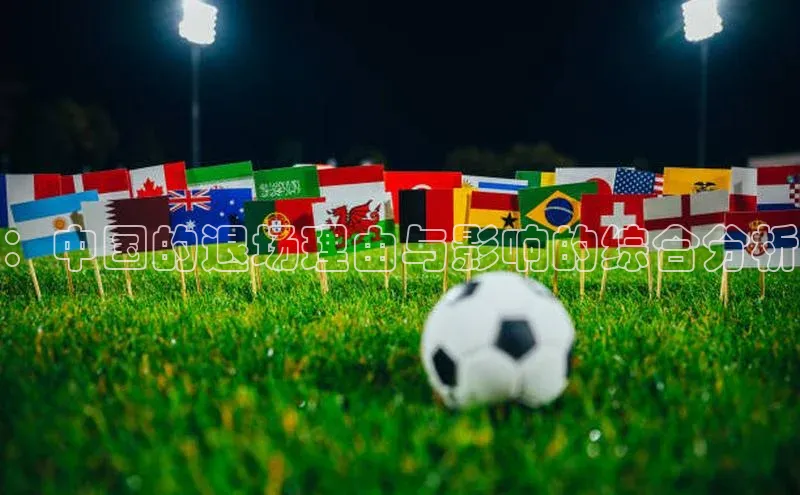 ：中国的退场理由与影响的综合分析