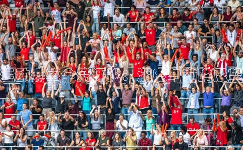 运动赛事全景评论：深度与前瞻展望