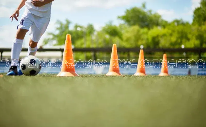 飞盘运动的最新赛事动态：激情与技巧的完美结合