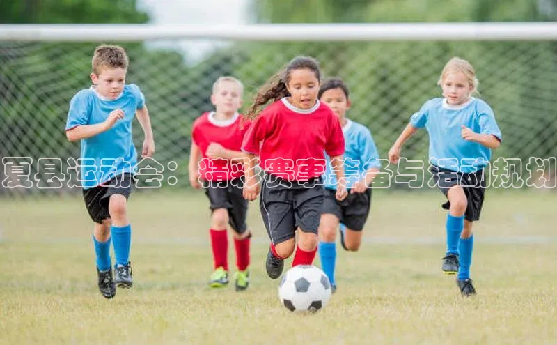 夏县运动会：精彩赛事筹备与活动规划