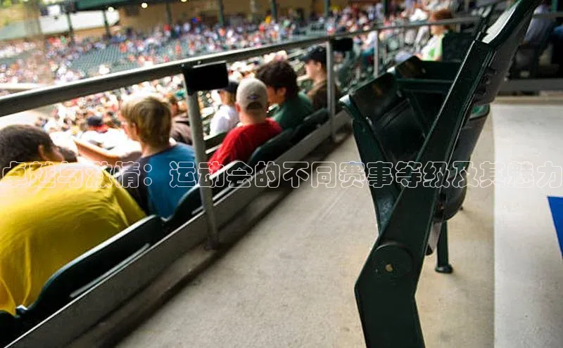 卓越与激情：运动会的不同赛事等级及其魅力