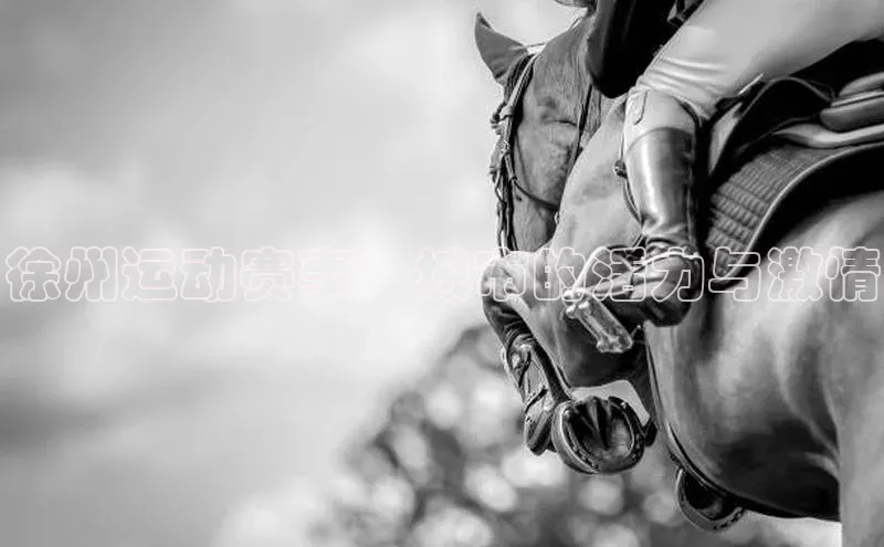 徐州运动赛事：城市的活力与激情