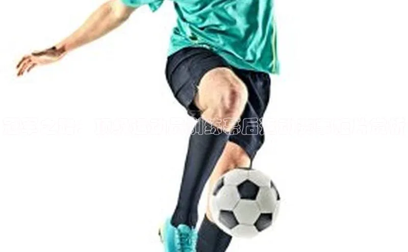 星空手机网页版登录入口