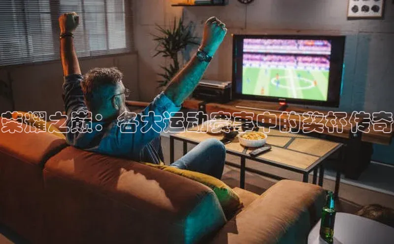 星空手机网页版登录入口