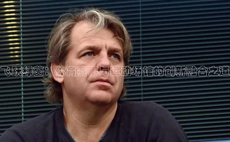 飞跃绿茵：体育赛事与运动场馆的创新融合之道