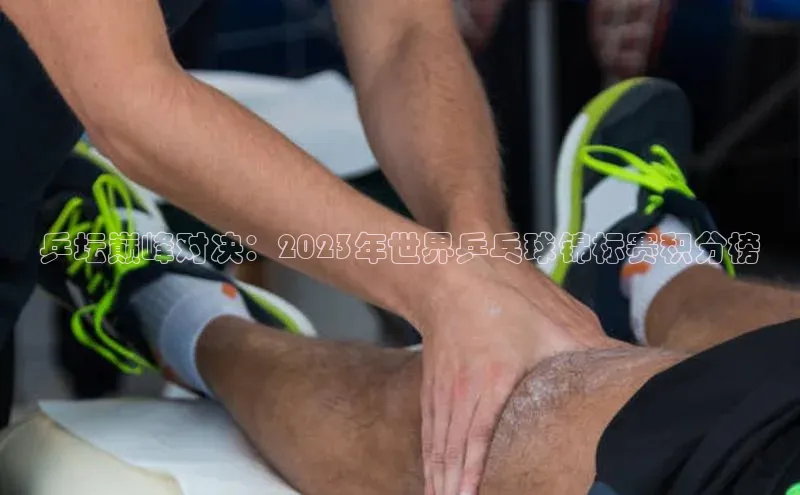 乒坛巅峰对决：2023年世界乒乓球锦标赛积分榜