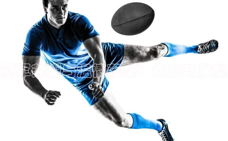 冠军荣耀与温情落幕：回顾与展望