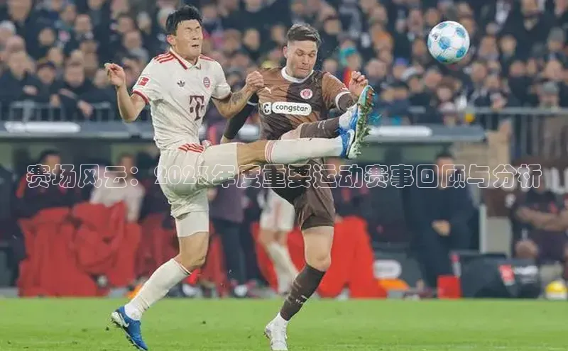 星空app登录入口官网